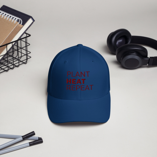 Closed Back Structured Cap Royal Blue Front 674b10004a495.jpg