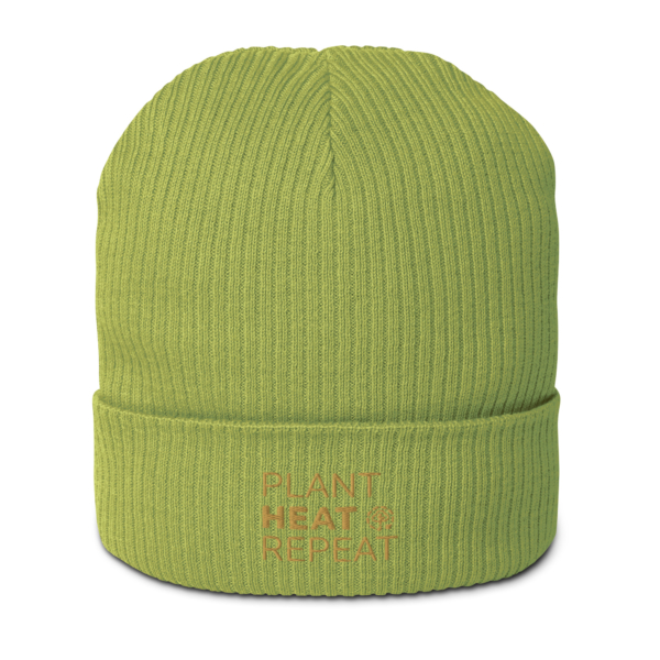 Organic Ribbed Beanie Leaf Green Front 674f966e23194.jpg