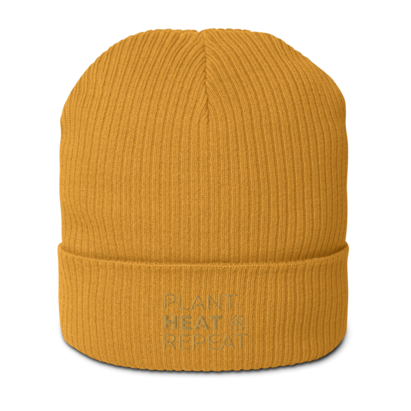 Organic Ribbed Beanie Mustard Yellow Front 674f966e2306d.jpg