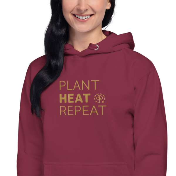 Unisex Premium Hoodie Maroon Zoomed In 6740ec890b768.jpg