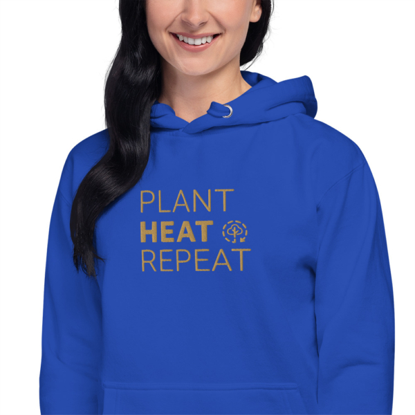 Unisex Premium Hoodie Team Royal Zoomed In 6740ec893812b.jpg